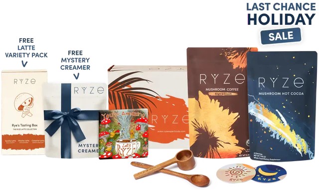 Day + Night Bundle | Glade