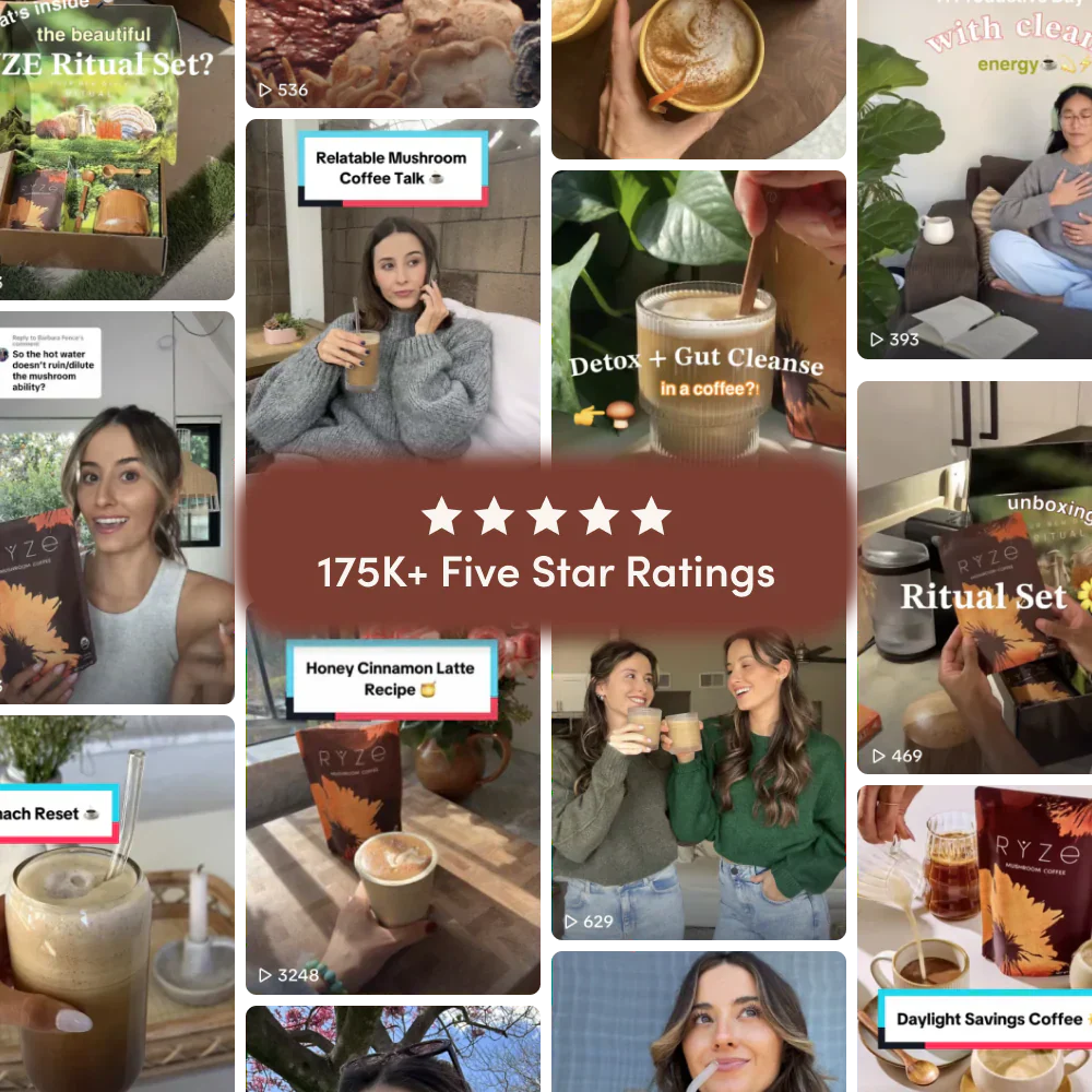 Dark Roast Starter Kit | Juniper