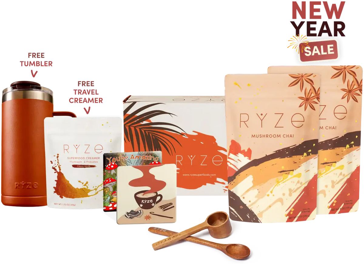 Starter Kit | Hazel