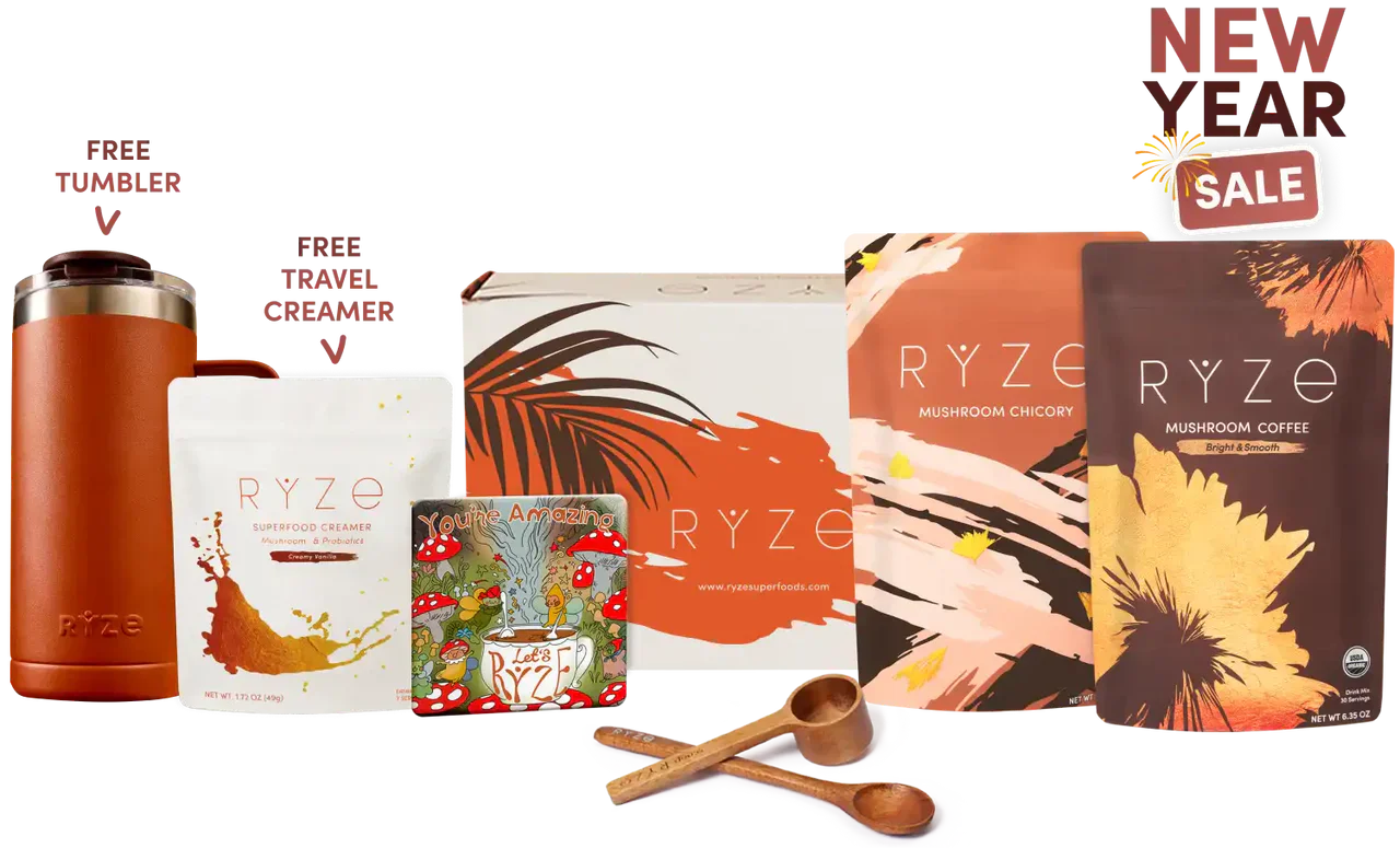 Lasting Energy Bundle | Flint