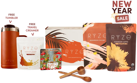 Lasting Energy Bundle | Flint