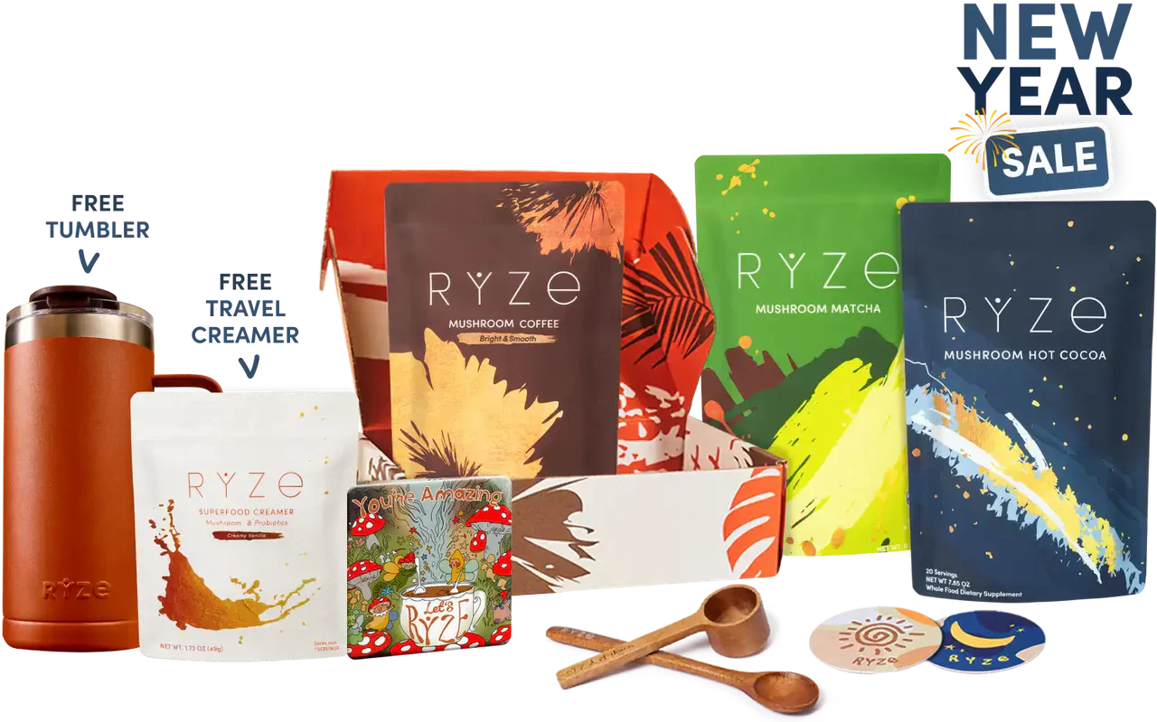 Ultimate Day + Night Bundle | Aster