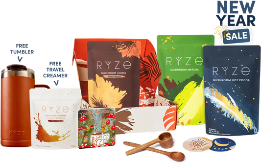 Ultimate Day + Night Bundle | Aster