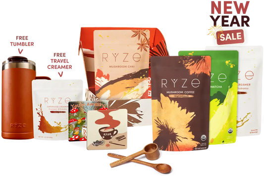 Ultimate Pick-Me-Up Bundle | Fern