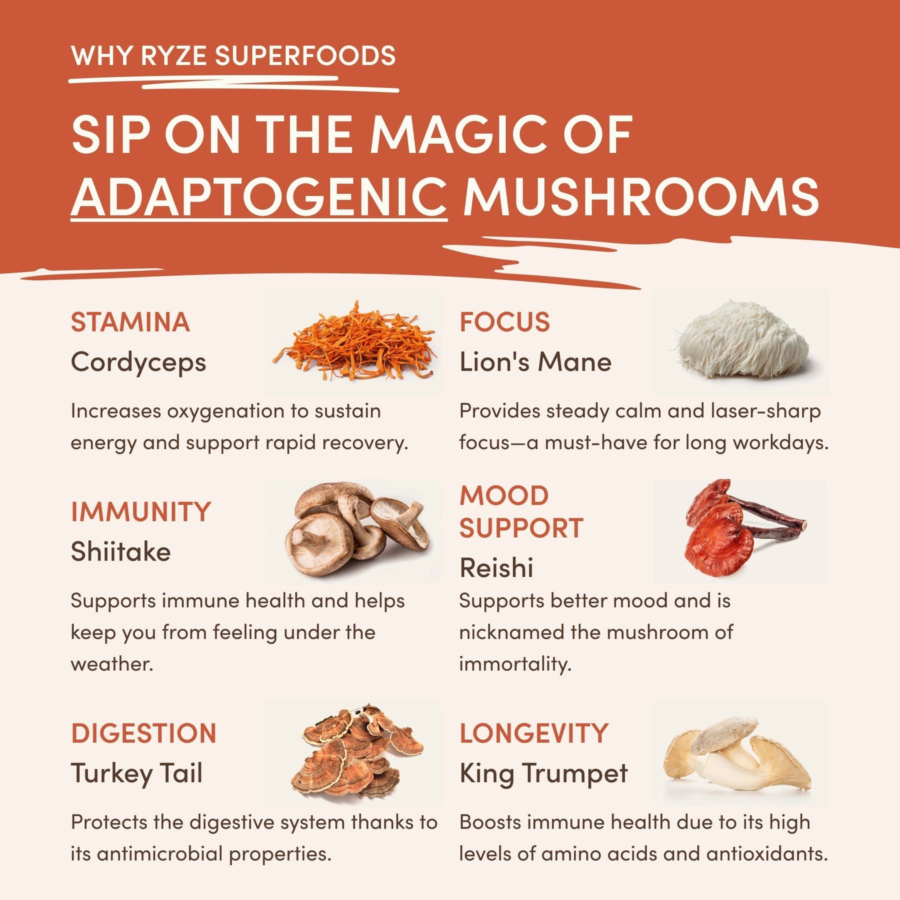Superfood Creamer | Ridge